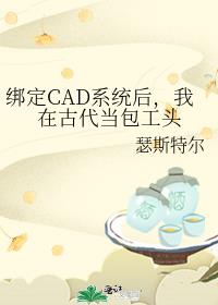 绑定CAD系统后,我在古代当包工头
